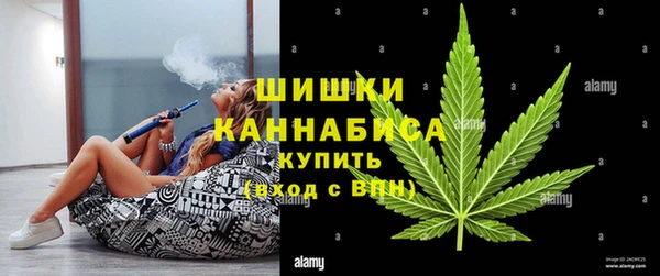 гидра Коряжма