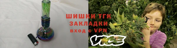 гидра Коряжма