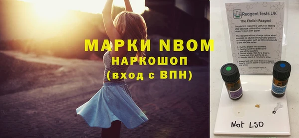 гидра Коряжма