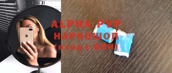 гидра Коряжма