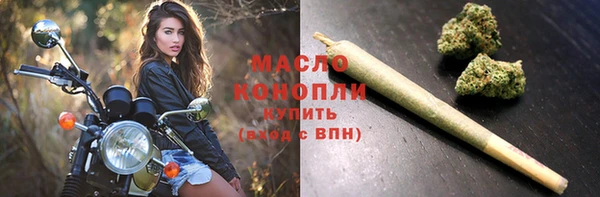 гидра Коряжма