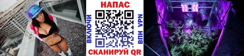 Купить  Пошехонье  Бошки марихуана семена 